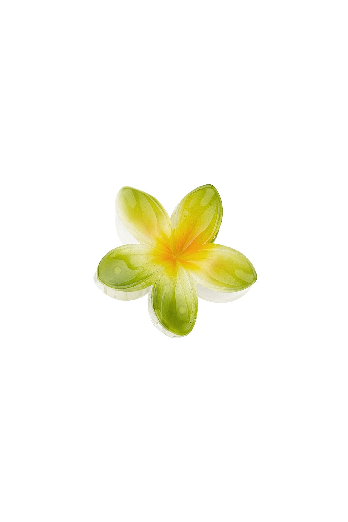 Hair clip Hawaiian dream