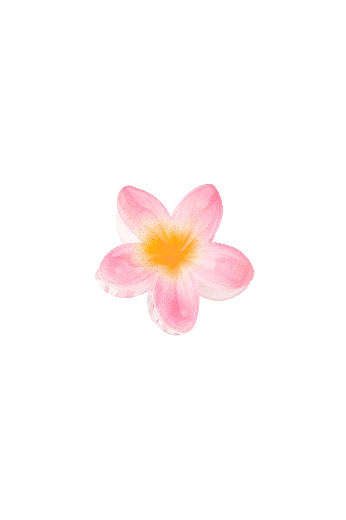 Hair clip Hawaiian dream