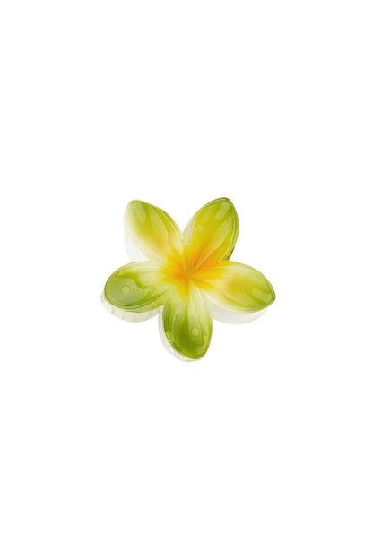 Hair clip Hawaiian dream